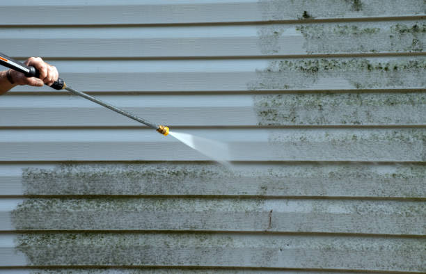 Animal Enclosure Cleaning in Reynoldsburg, OH
